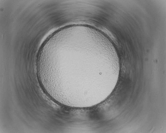 X0000060810950200511241932