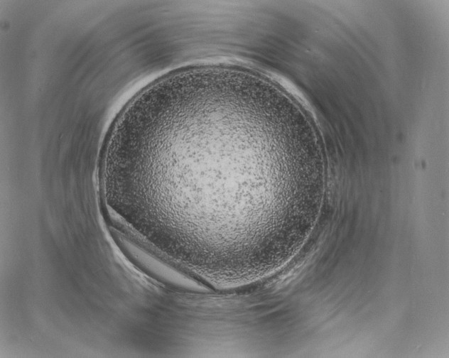 X0000060810951200511241932