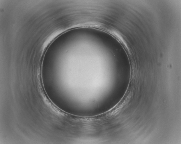 X0000060810952200511241932