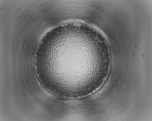 X0000060810953200511241932