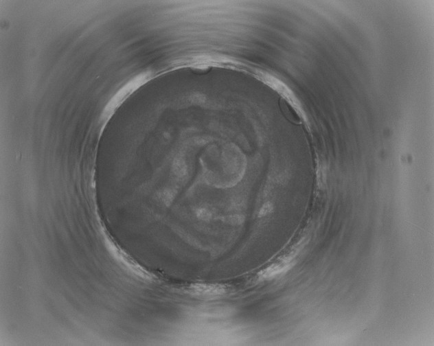 X0000060810954200511241932