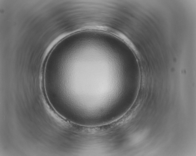 X0000060810955200511241932