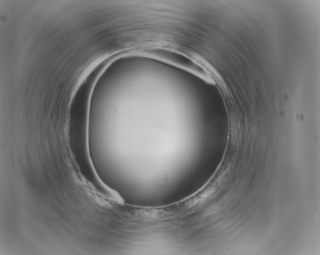 X0000060810956200511241932