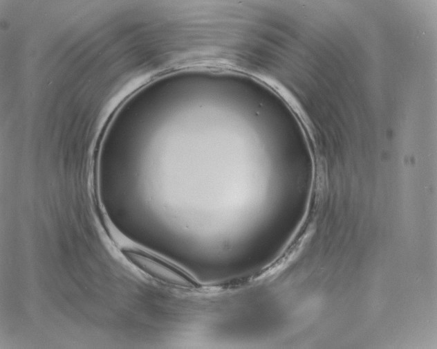 X0000060810957200511241932