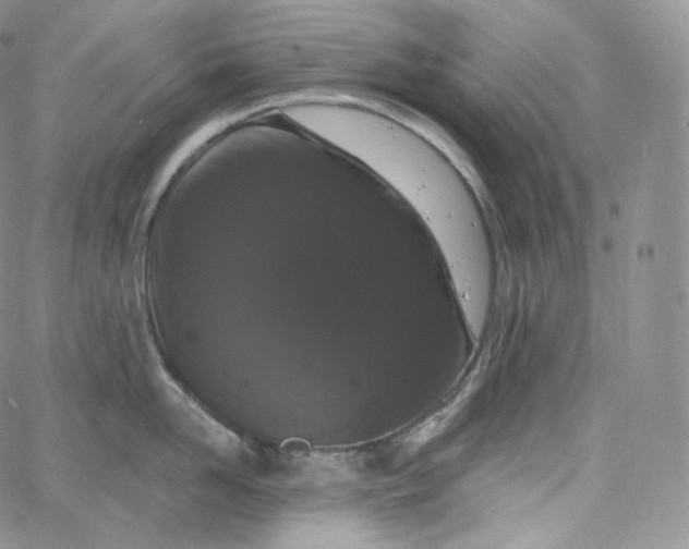 X0000060810958200511241932