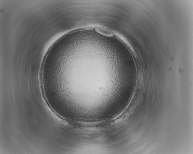 X0000060810959200511241932