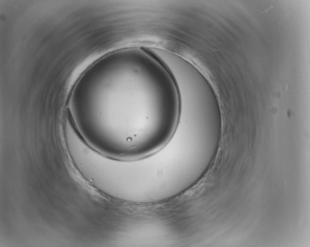 X0000060810960200511241932