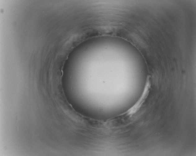 X0000060810961200511241931