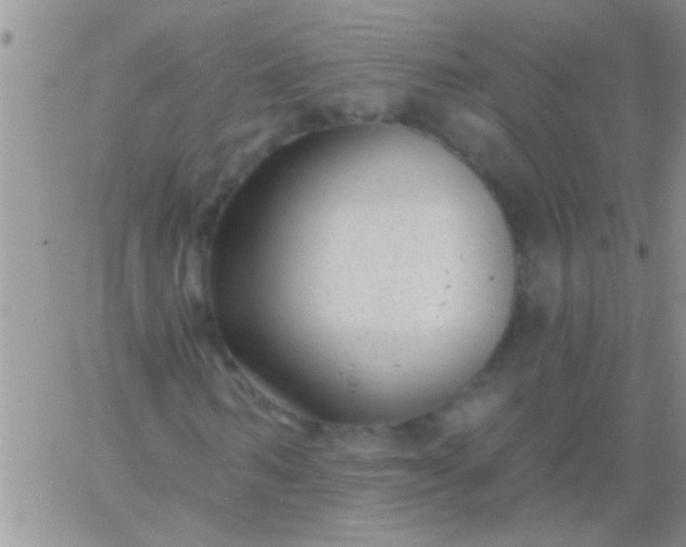 X0000060810962200511241931