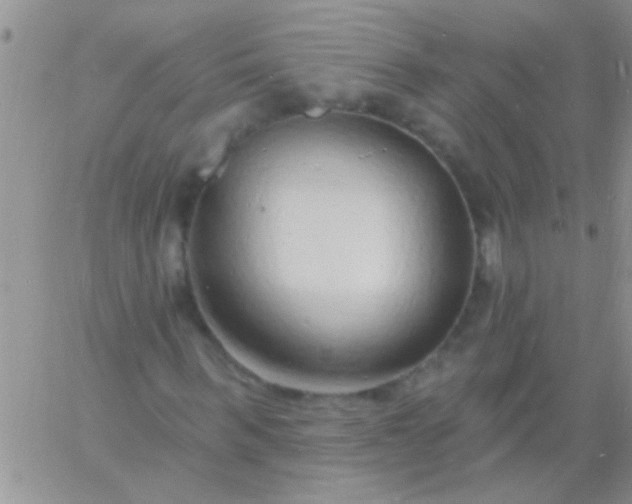 X0000060810963200511241931