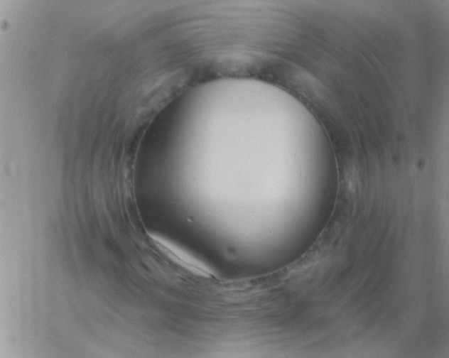 X0000060810964200511241931