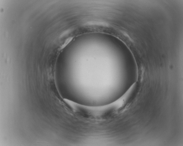 X0000060810965200511241931