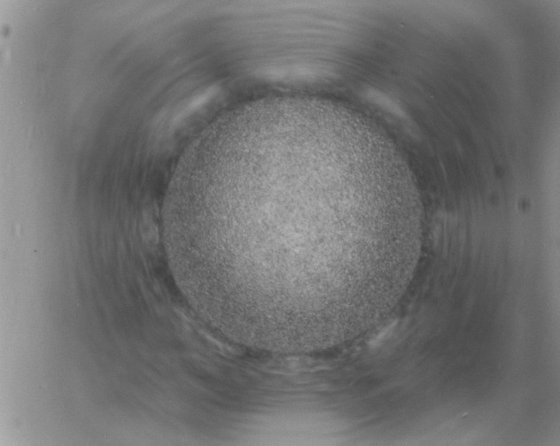 X0000060810966200511241931