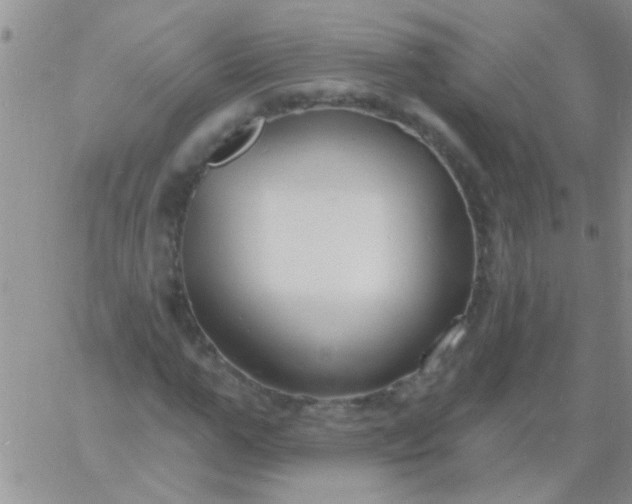 X0000060810967200511241931