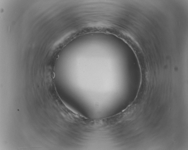 X0000060810968200511241931