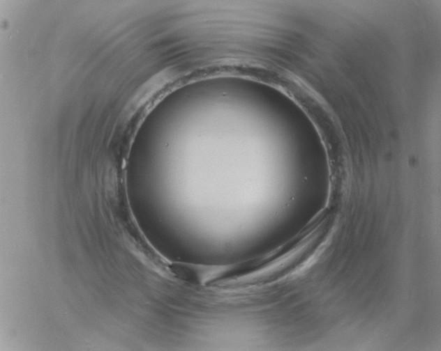 X0000060810969200511241931