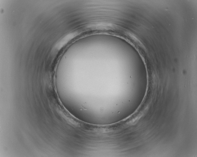 X0000060810970200511241931