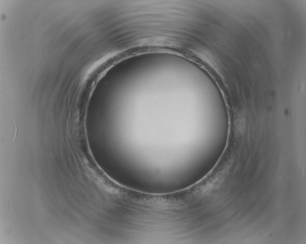 X0000060810971200511241931