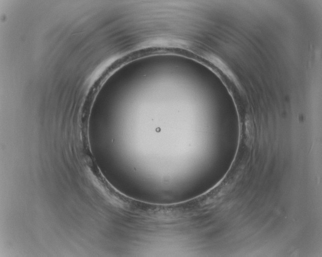 X0000060810972200511241931