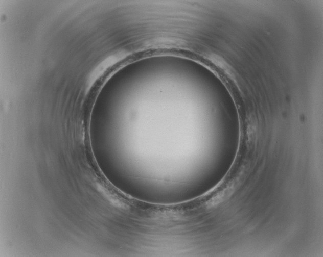 X0000060810973200511241931