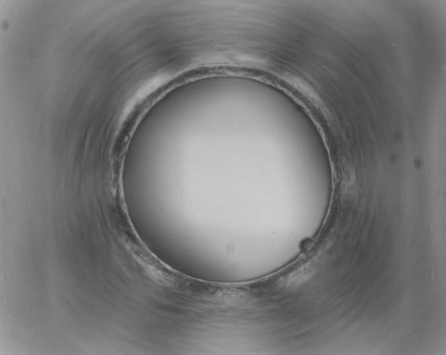 X0000060810974200511241931