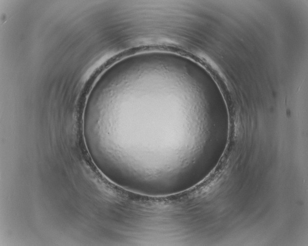 X0000060810975200511241931