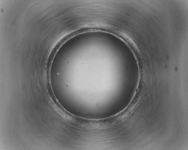 X0000060810976200511241931