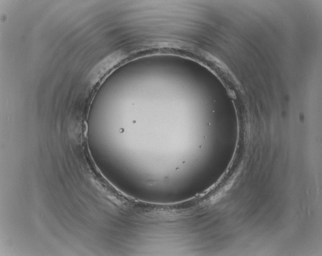 X0000060810977200511241931