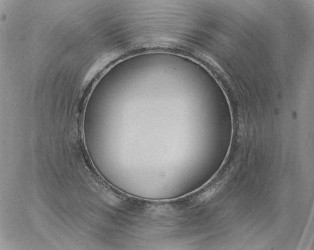 X0000060810978200511241931