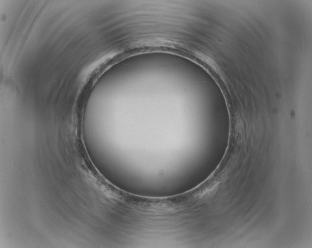 X0000060810979200511241931