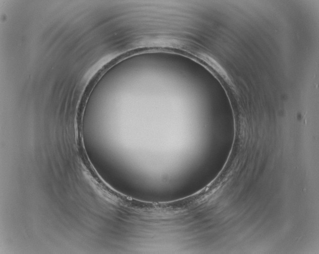 X0000060810980200511241931