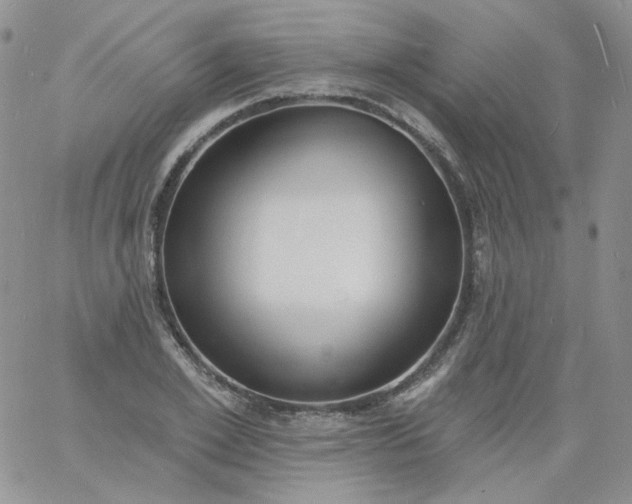 X0000060810981200511241931