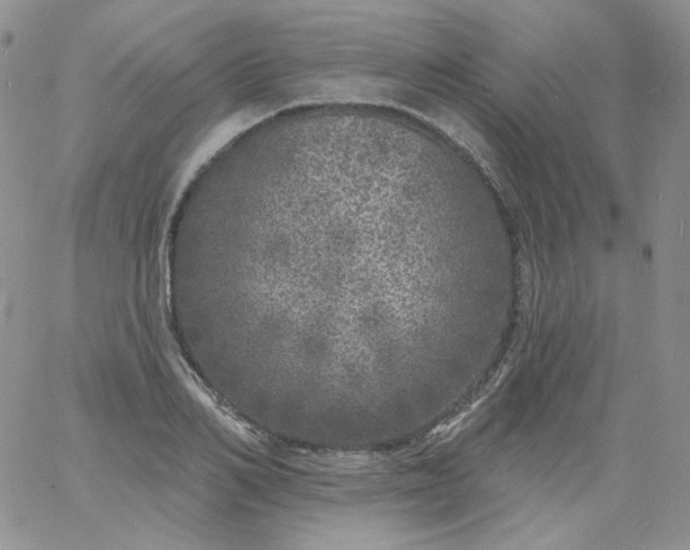 X0000060810982200511241931