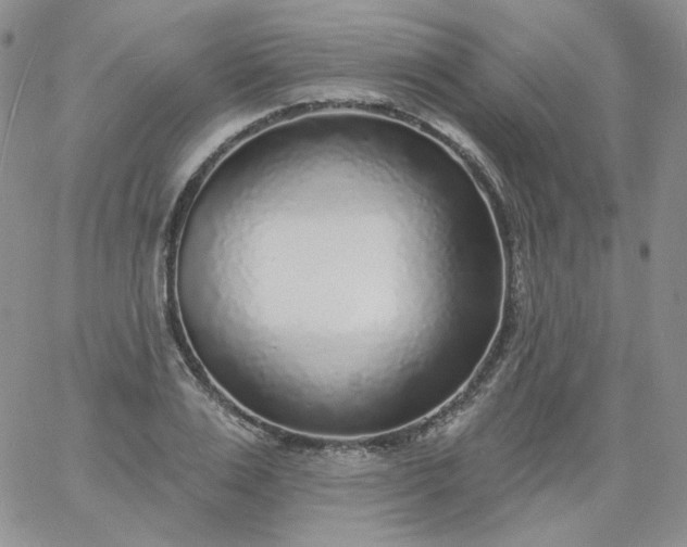 X0000060810983200511241931