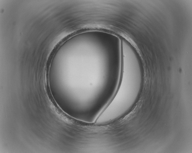 X0000060810984200511241931