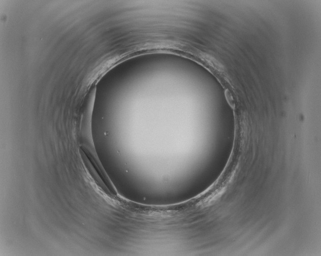 X0000060810985200511241931