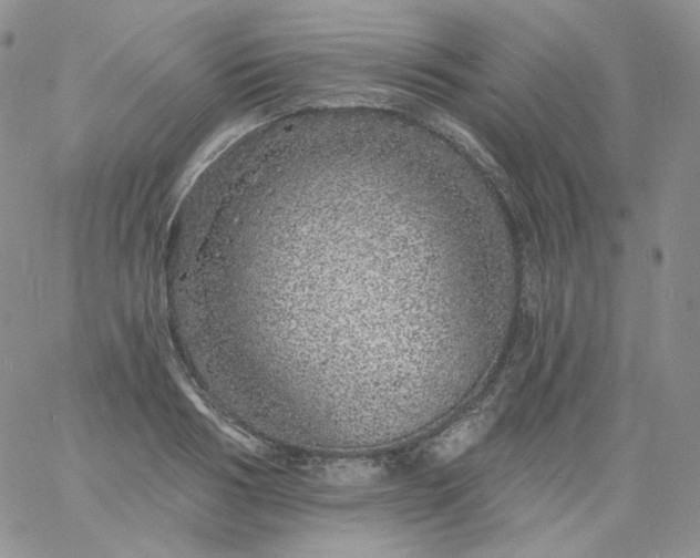 X0000060810986200511241931