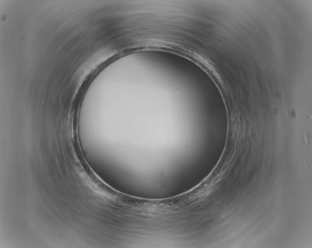 X0000060810987200511241931