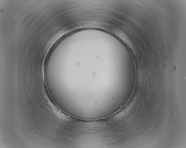 X0000060810988200511241931