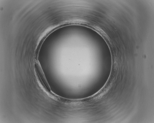 X0000060810989200511241931