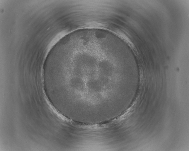 X0000060810990200511241931