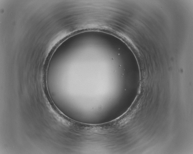 X0000060810991200511241931