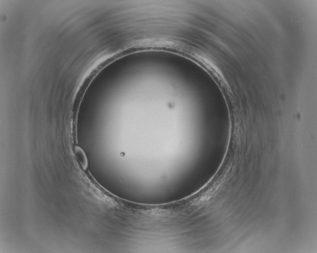 X0000060810992200511241931