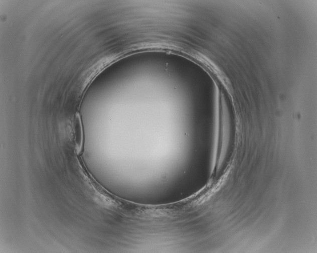 X0000060810993200511241931