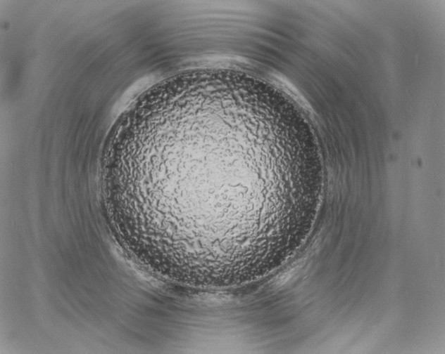 X0000060810994200511241931