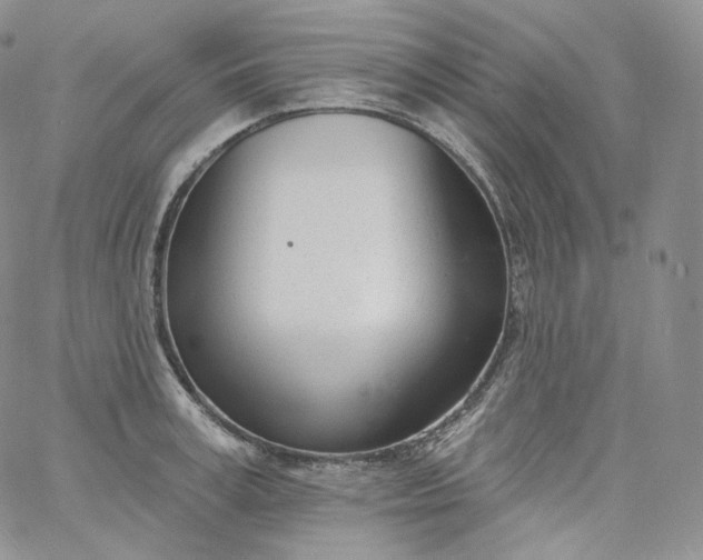 X0000060810995200511241931