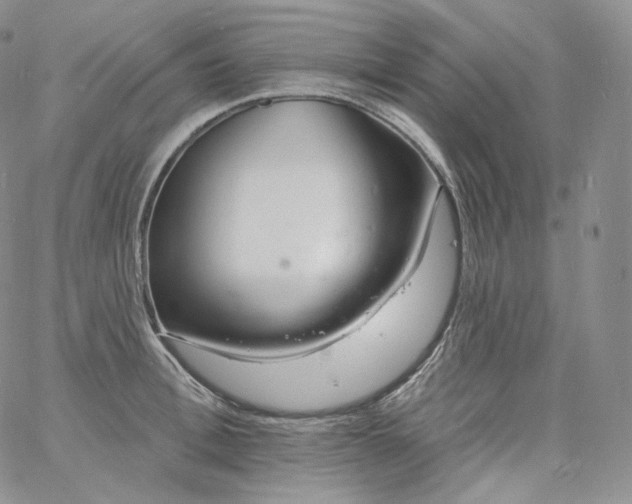 X0000060810996200511241931