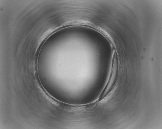 X0000060810997200511241931