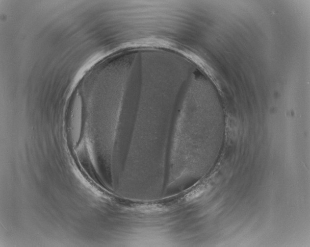 X0000060810998200511241931