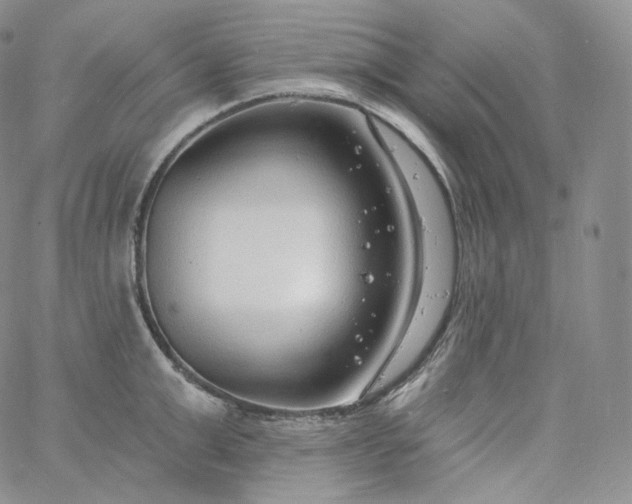 X0000060810999200511241931